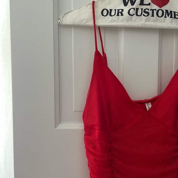 Red Lucy in the sky Swiss dot body on dress - Picture 2 of 2